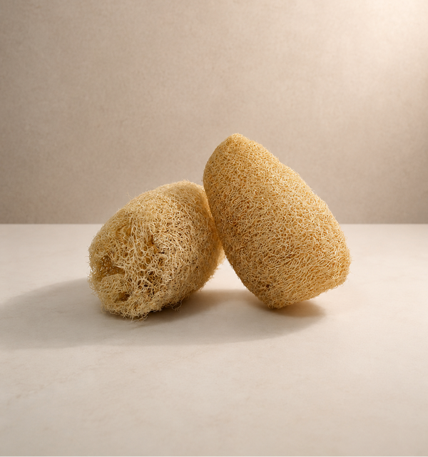 Rodaja de loofah ESPONJA